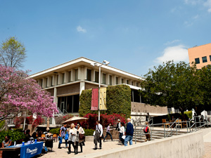 rains library